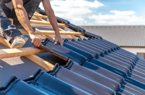 Couverture - Vogelgrun